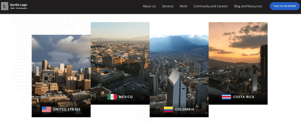 Gorilla Logic - outsourcing company