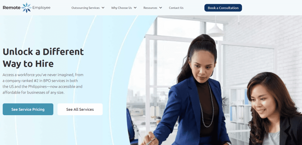 Remote Employee - Offshore Outsourcing Companies