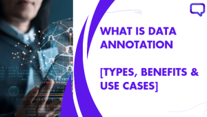 what is data annotation