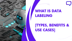 what is data labeling featured image