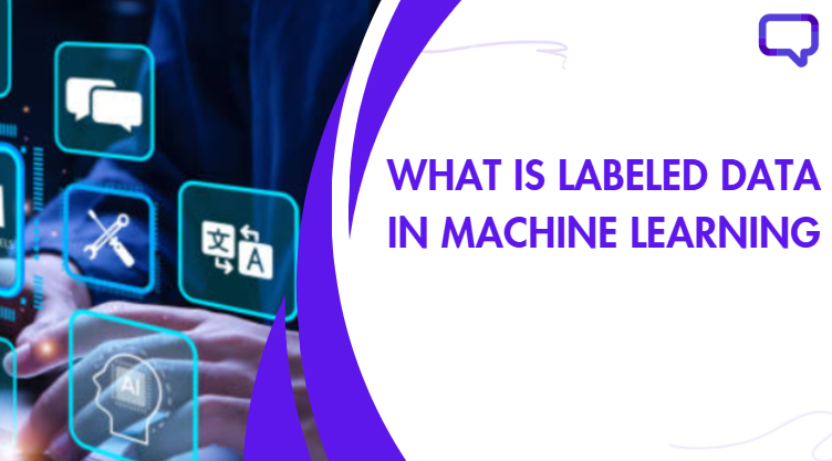 what is labeled data